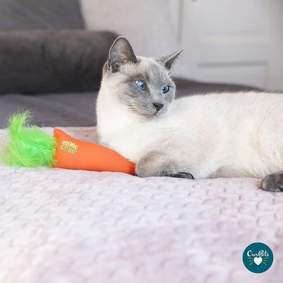 OurPets 100-Percent North American Catnip Filled Carrot Cat Toy 24 Karat - Picture 2 of 7